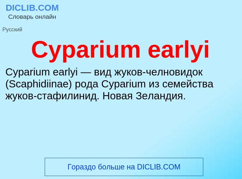 Что такое Cyparium earlyi - определение