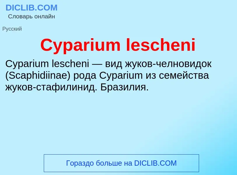 Что такое Cyparium lescheni - определение