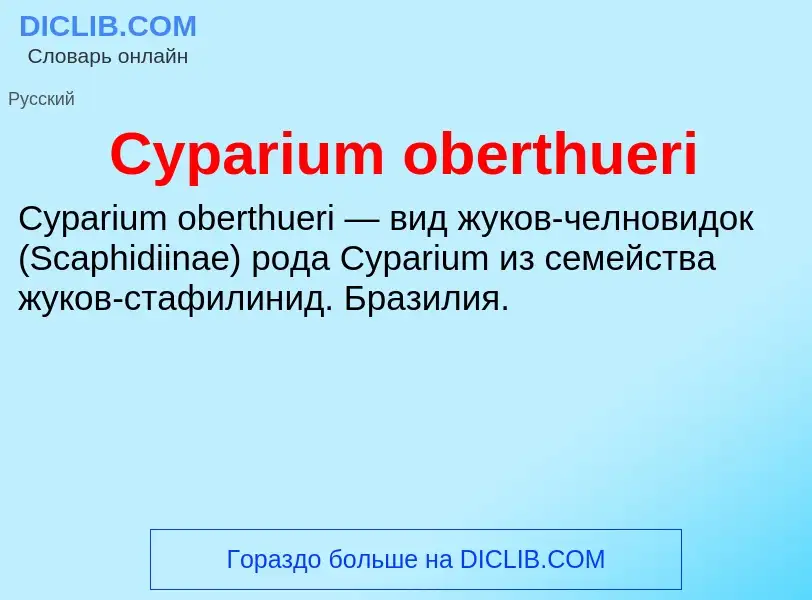 Что такое Cyparium oberthueri - определение