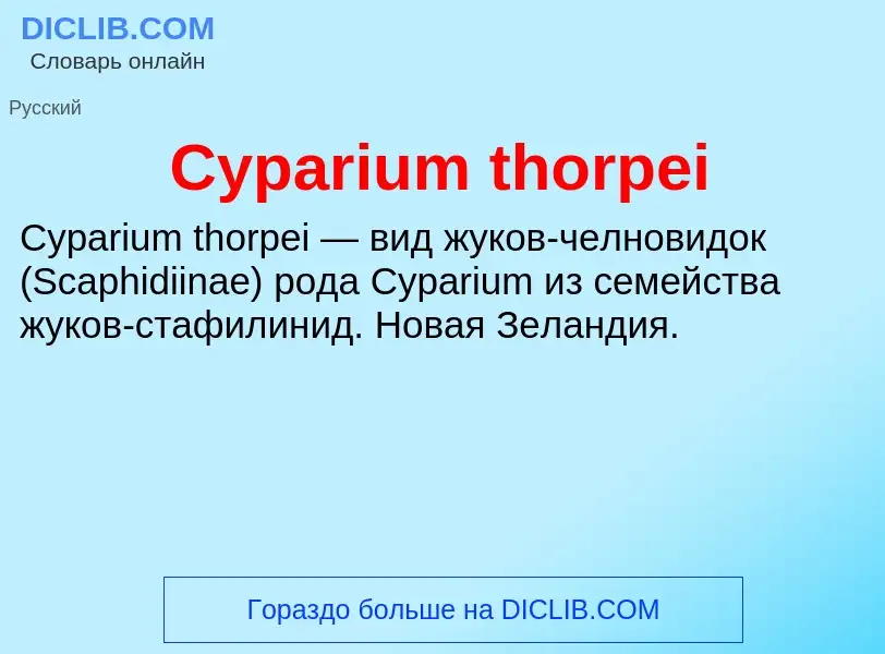 Что такое Cyparium thorpei - определение