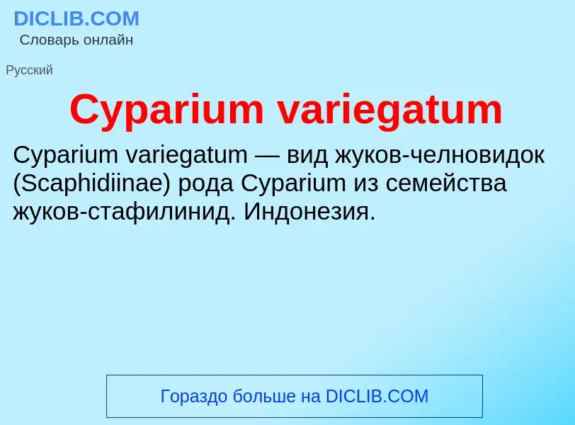 Что такое Cyparium variegatum - определение