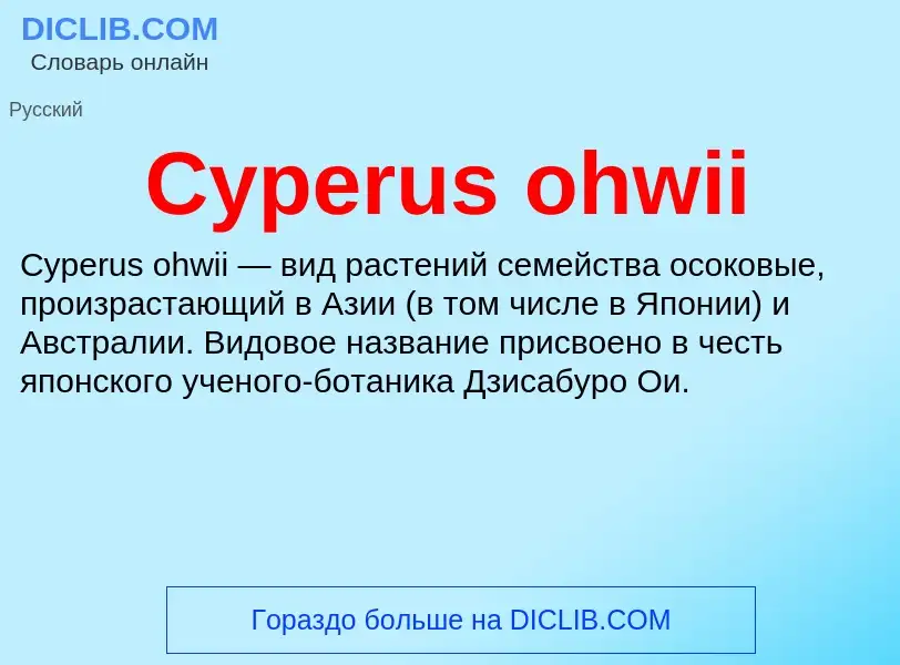 Что такое Cyperus ohwii - определение