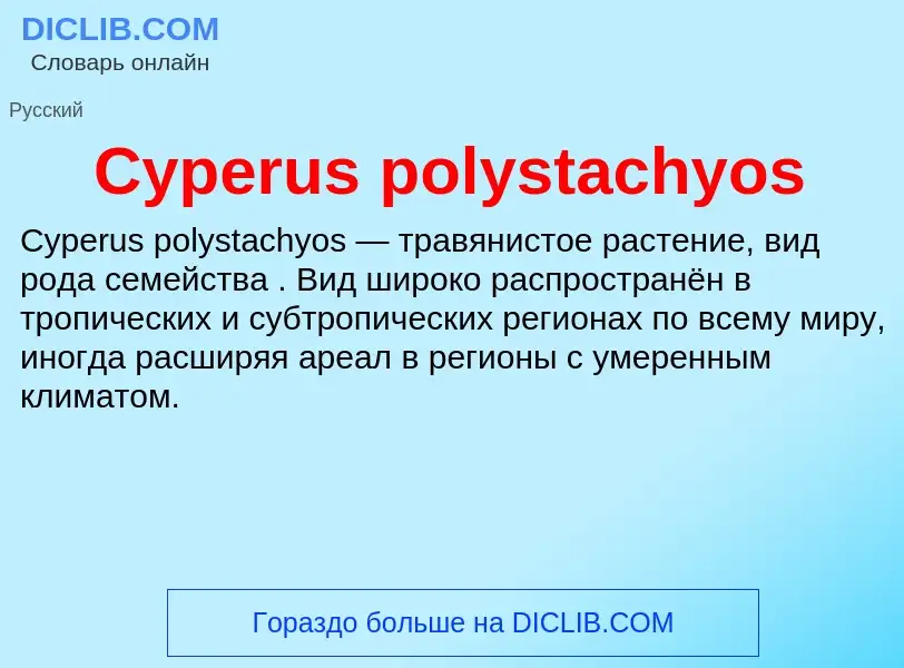 Что такое Cyperus polystachyos - определение