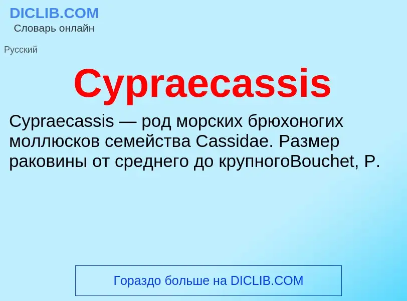 Что такое Cypraecassis - определение