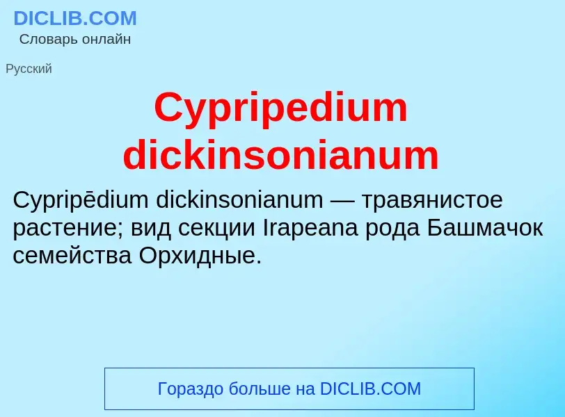 Что такое Cypripedium dickinsonianum - определение