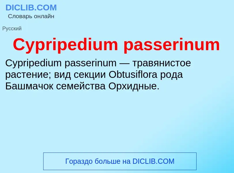 Che cos'è Cypripedium passerinum - definizione