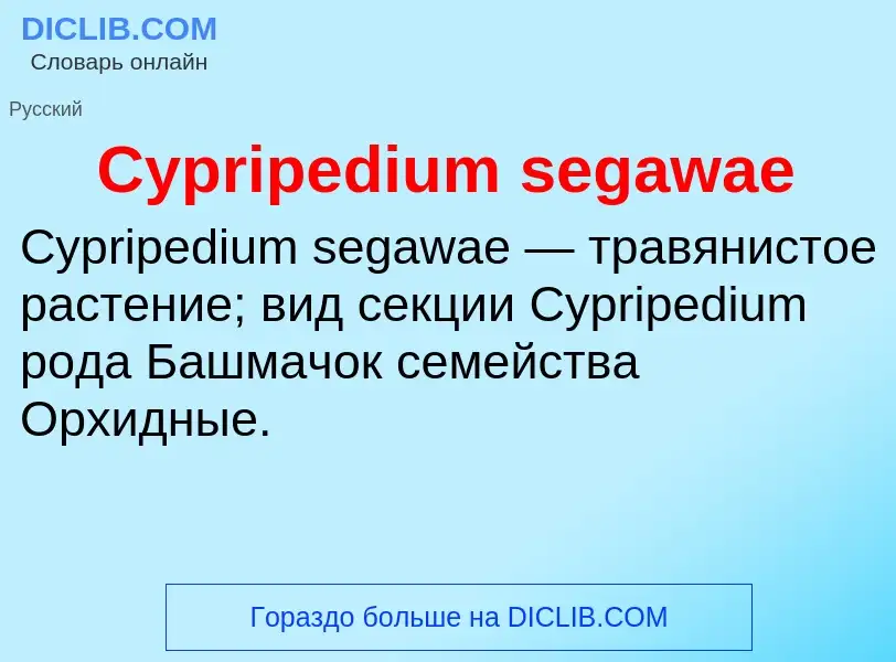 Что такое Cypripedium segawae - определение