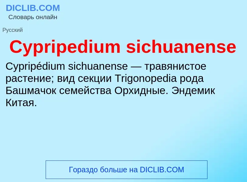 Что такое Cypripedium sichuanense - определение