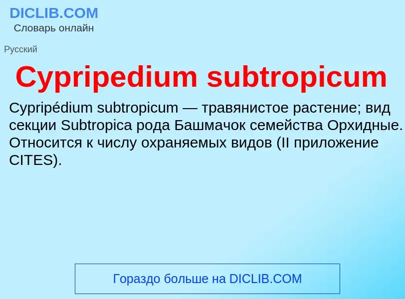 Τι είναι Cypripedium subtropicum - ορισμός