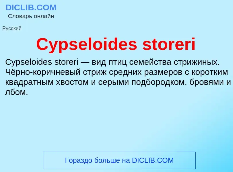 Was ist Cypseloides storeri - Definition