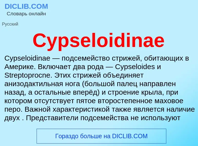 Wat is Cypseloidinae - definition