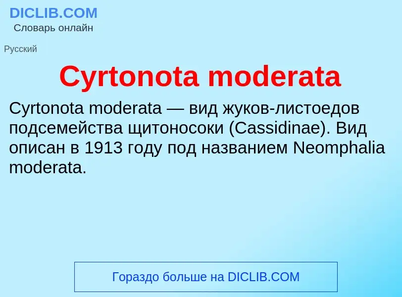 Τι είναι Cyrtonota moderata - ορισμός