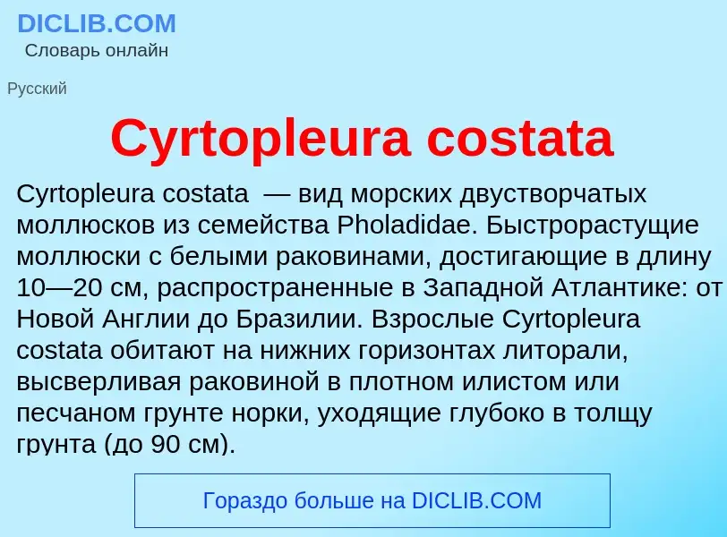 Что такое Cyrtopleura costata - определение