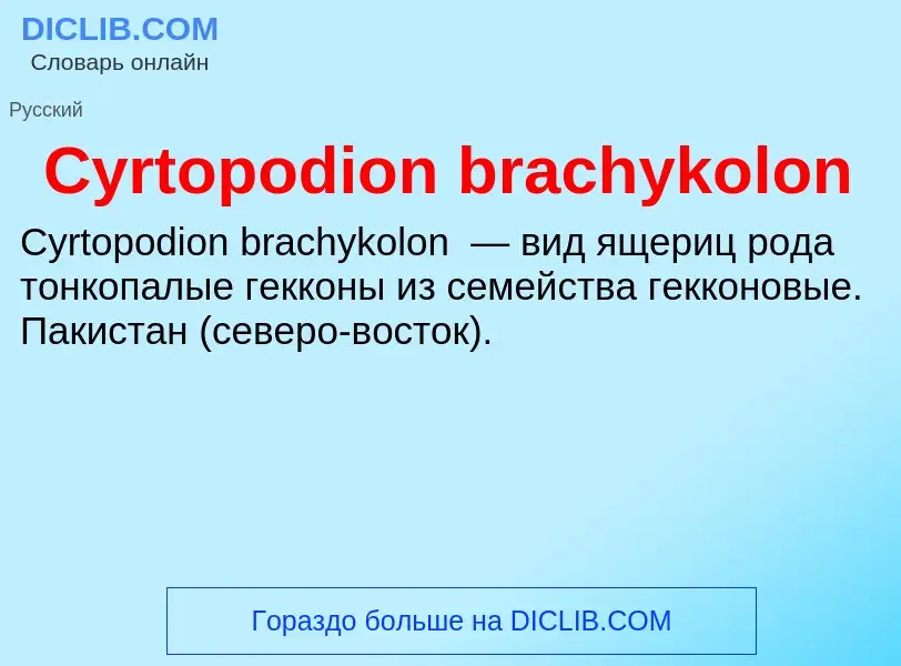 Что такое Cyrtopodion brachykolon - определение