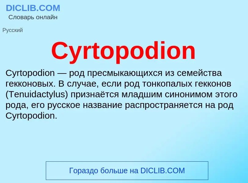 Τι είναι Cyrtopodion - ορισμός