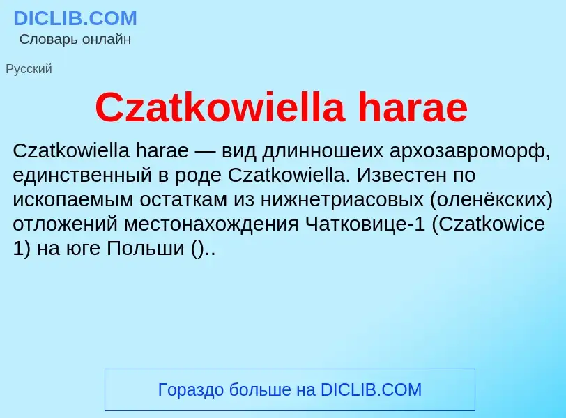 Was ist Czatkowiella harae - Definition