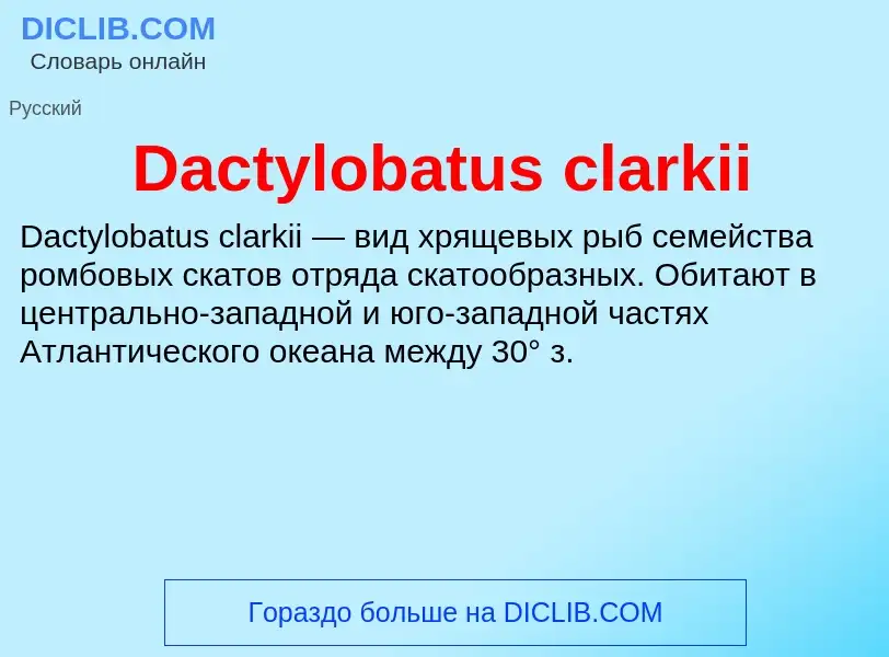 Что такое Dactylobatus clarkii - определение