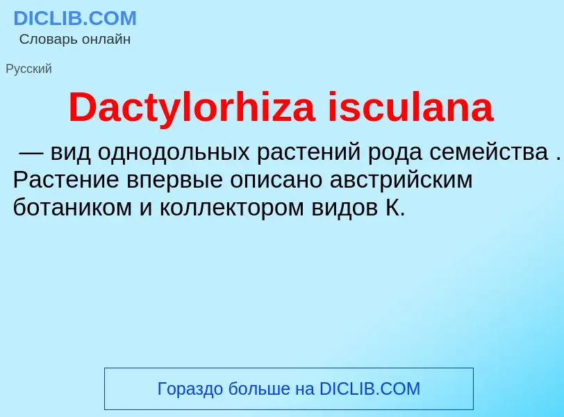 Τι είναι Dactylorhiza isculana - ορισμός