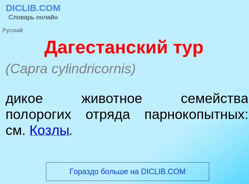 Che cos'è Дагест<font color="red">а</font>нский тур - definizione