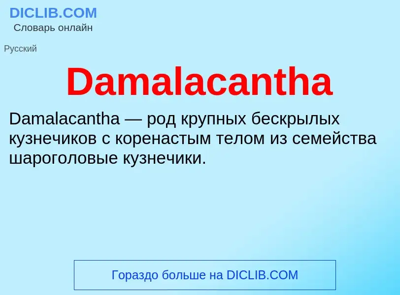 Was ist Damalacantha - Definition