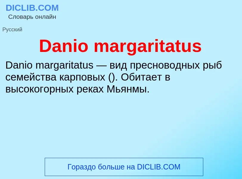 Что такое Danio margaritatus - определение