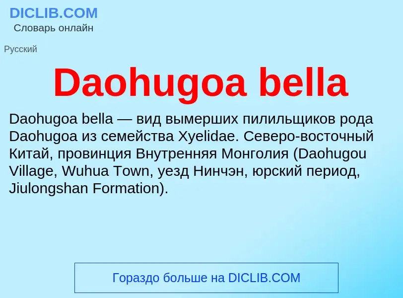 Что такое Daohugoa bella - определение