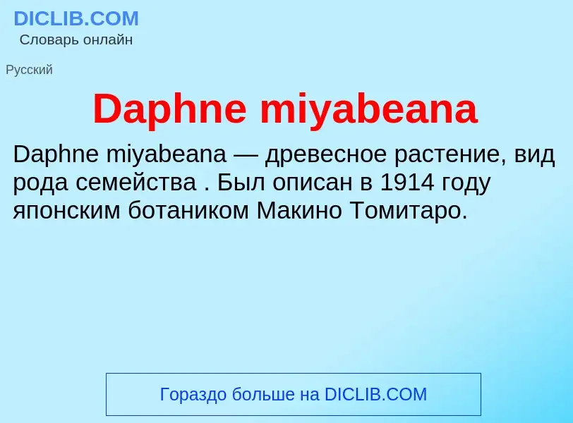 Что такое Daphne miyabeana - определение