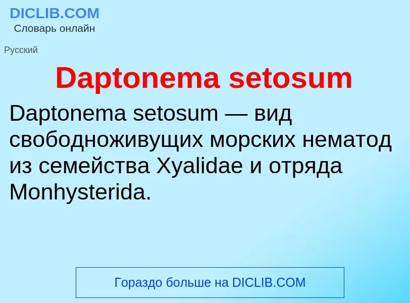 Что такое Daptonema setosum - определение