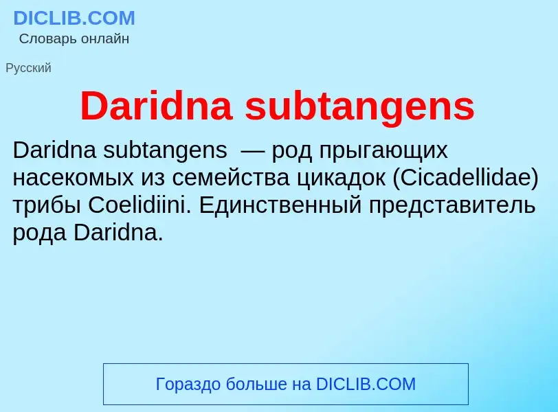 Τι είναι Daridna subtangens - ορισμός