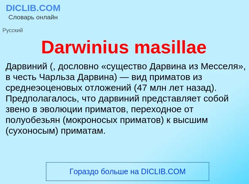 Что такое Darwinius masillae - определение