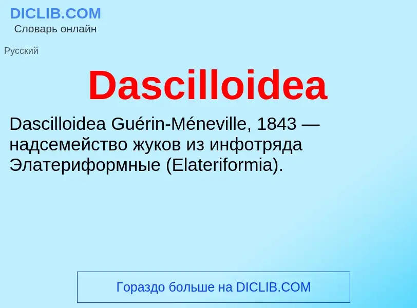 Τι είναι Dascilloidea - ορισμός