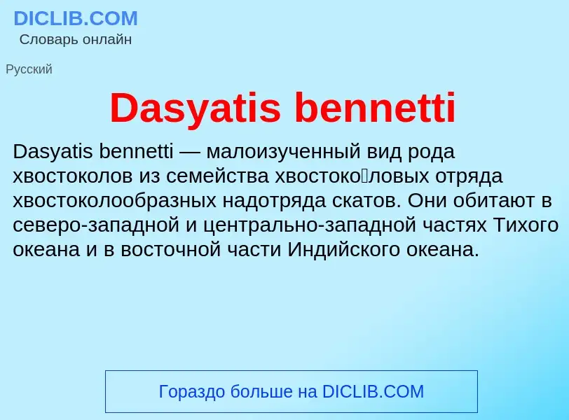 Что такое Dasyatis bennetti - определение