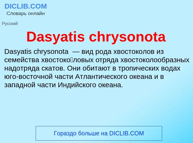 Τι είναι Dasyatis chrysonota - ορισμός