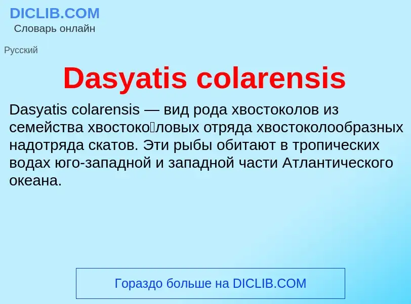 Τι είναι Dasyatis colarensis - ορισμός