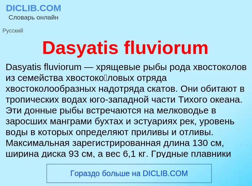 Что такое Dasyatis fluviorum - определение