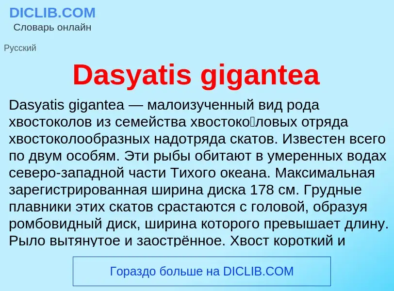 Τι είναι Dasyatis gigantea - ορισμός