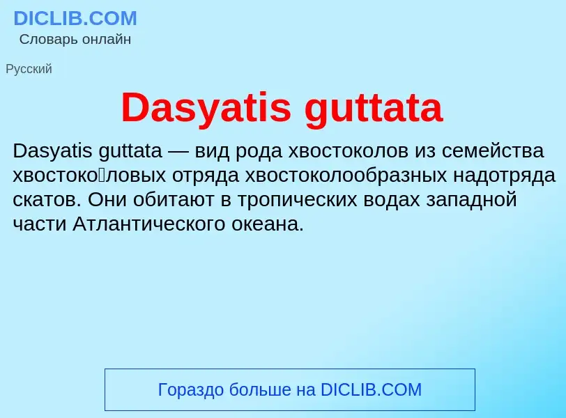 Τι είναι Dasyatis guttata - ορισμός