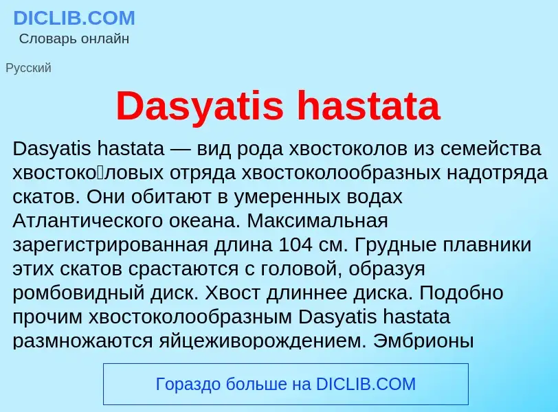 Что такое Dasyatis hastata - определение