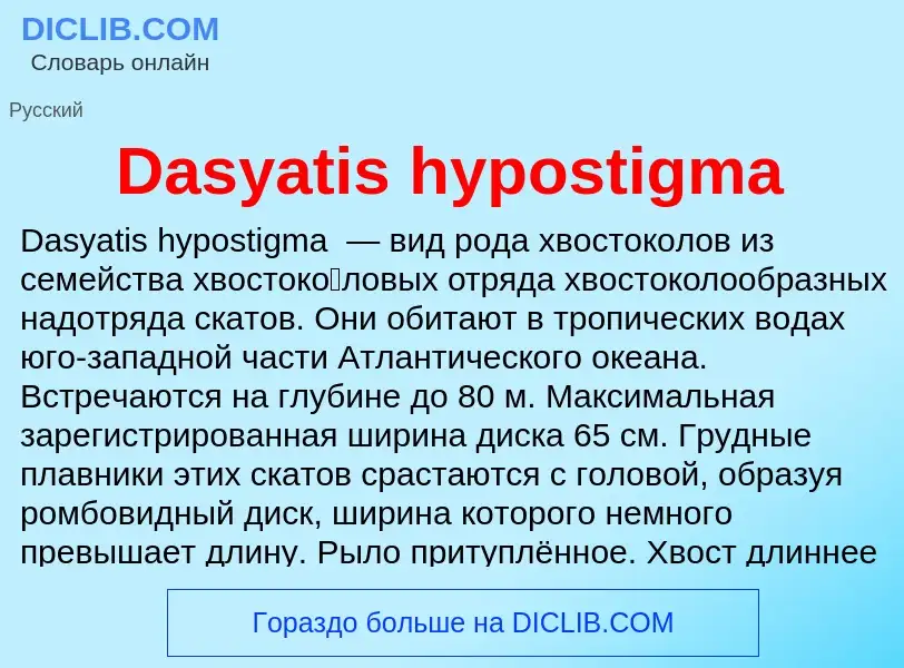 Что такое Dasyatis hypostigma - определение