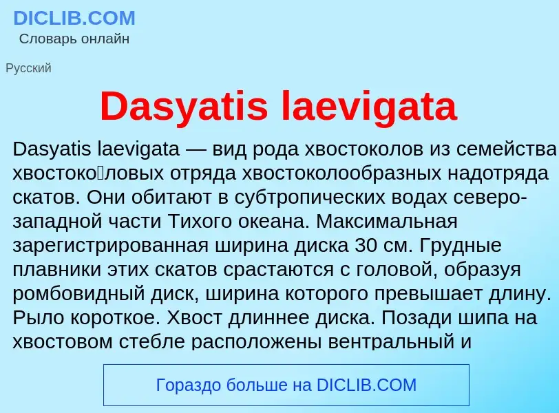 Τι είναι Dasyatis laevigata - ορισμός