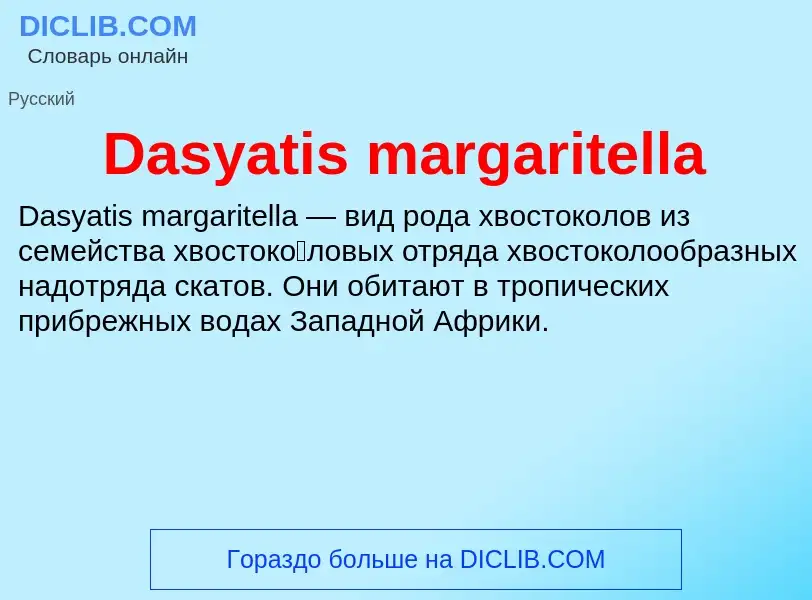 Что такое Dasyatis margaritella - определение