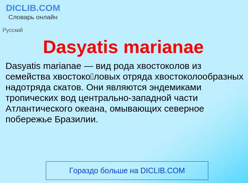 Что такое Dasyatis marianae - определение