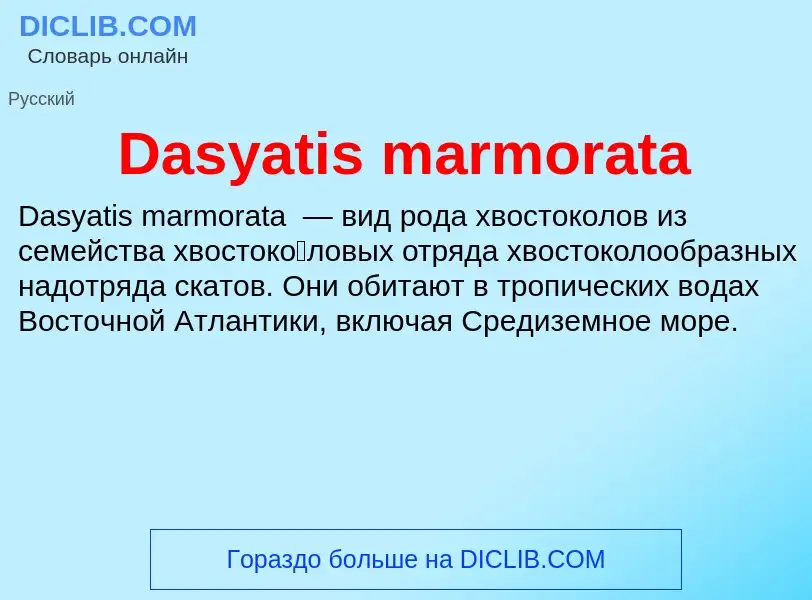 Τι είναι Dasyatis marmorata - ορισμός