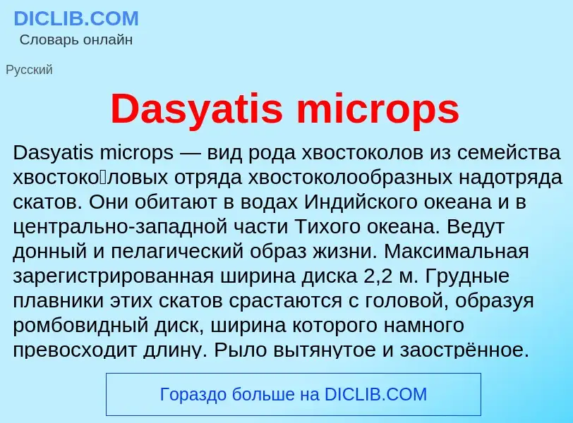 Τι είναι Dasyatis microps - ορισμός