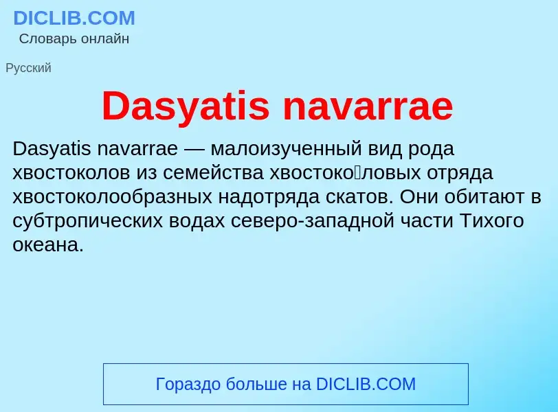 Τι είναι Dasyatis navarrae - ορισμός