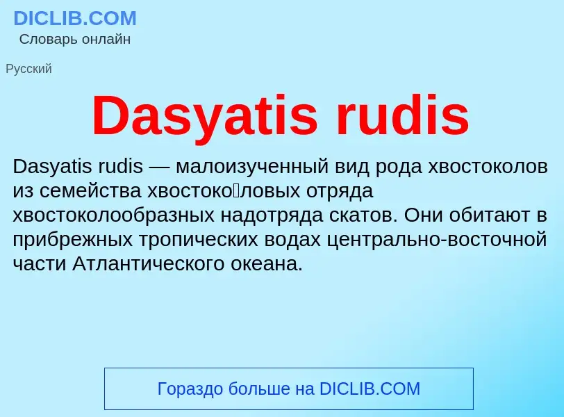 Τι είναι Dasyatis rudis - ορισμός