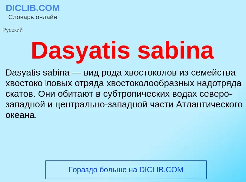 Что такое Dasyatis sabina - определение