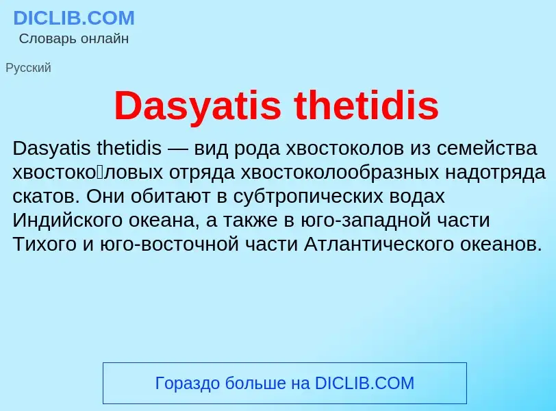 Τι είναι Dasyatis thetidis - ορισμός