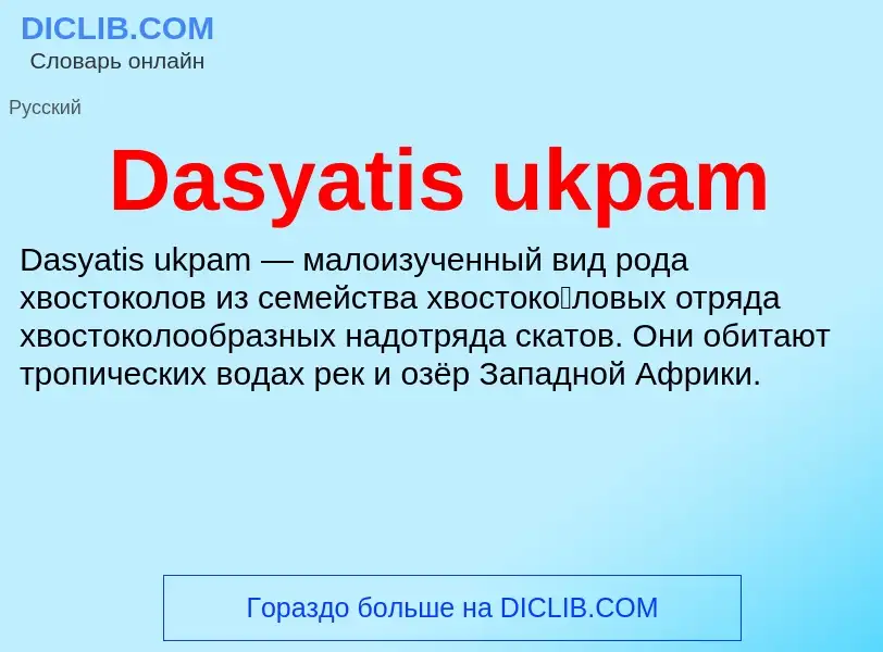 Τι είναι Dasyatis ukpam - ορισμός