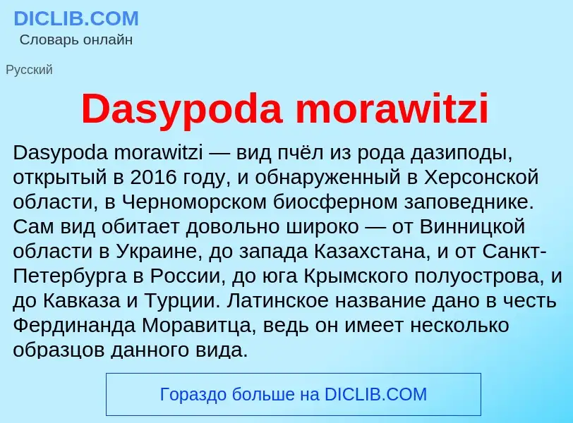 Τι είναι Dasypoda morawitzi - ορισμός